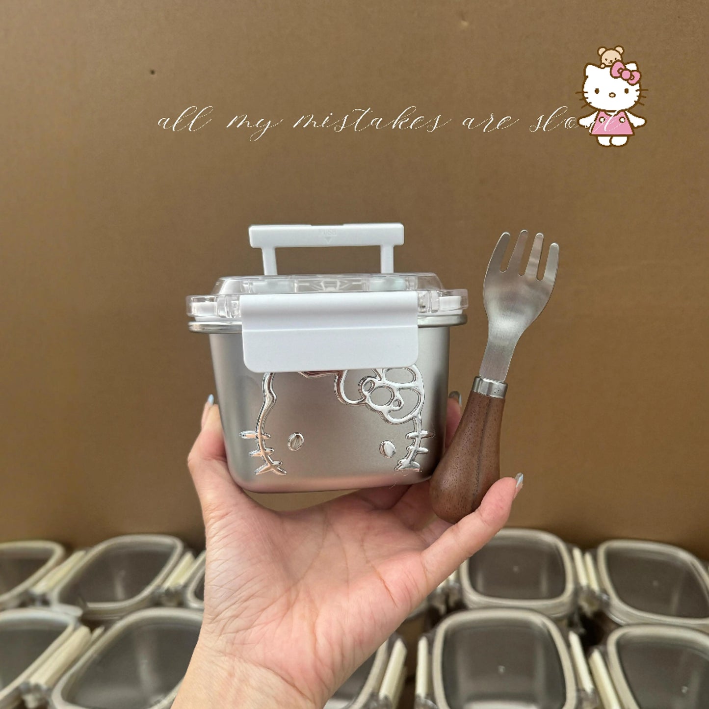 Hello Kitty Lunch Box 304 Stainless Steel with Handle